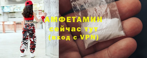 сатива Баксан