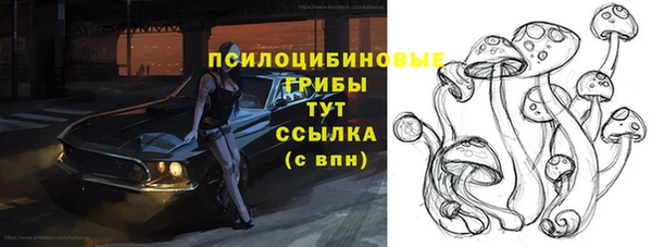 сатива Баксан
