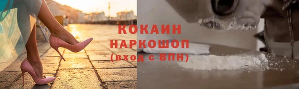 сатива Баксан