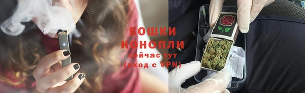 сатива Баксан