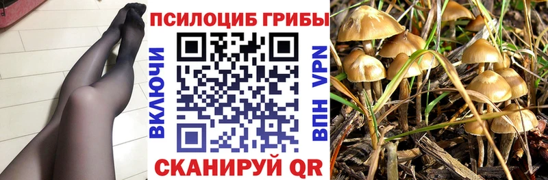 даркнет сайт  Верхоянск  Псилоцибиновые грибы ЛСД 